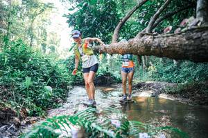 BIB: 
                            <button type="button" onclick="openModal(25437273)" class="btn btn-primary btn-sm float-right btn-popup" data-toggle="modal" data-target=".modal-high-quality">
                        <i class="fas fa-shopping-cart"></i> Add to Cart
                    </button>
                                            <button type="button" onclick="isThisMe(25437273, true)" class="btn btn-success btn-sm float-right btn-popup btn-isme hidden" data-toggle="tooltip" data-placement="bottom" title="นี่คือรูปของคุณใช่ไหม คลิกที่นี่เพื่อเอาเข้าอัลบั้ม">
                        <i class="fas fa-plus"></i> Add to album
                    </button>
                    <button type="button" onclick="isThisMe(25437273, false)" class="btn btn-warning btn-sm float-right btn-popup btn-isnotme hidden">
                        <i class="fas fa-ban"></i> Remove from album
                    </button>